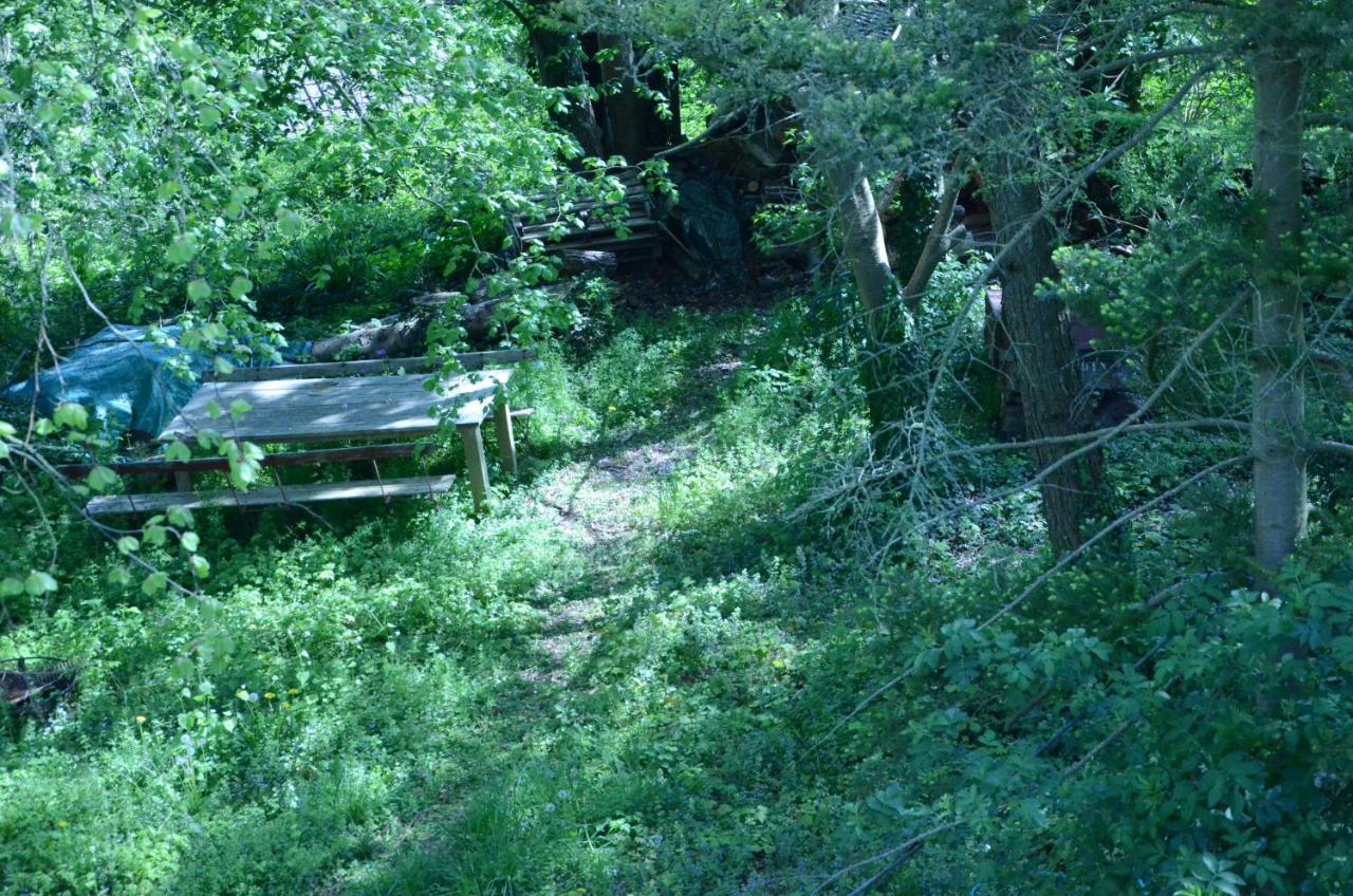 La Cave Au Chat'Pitre / L'Etable Villers-le-Bouillet 外观 照片
